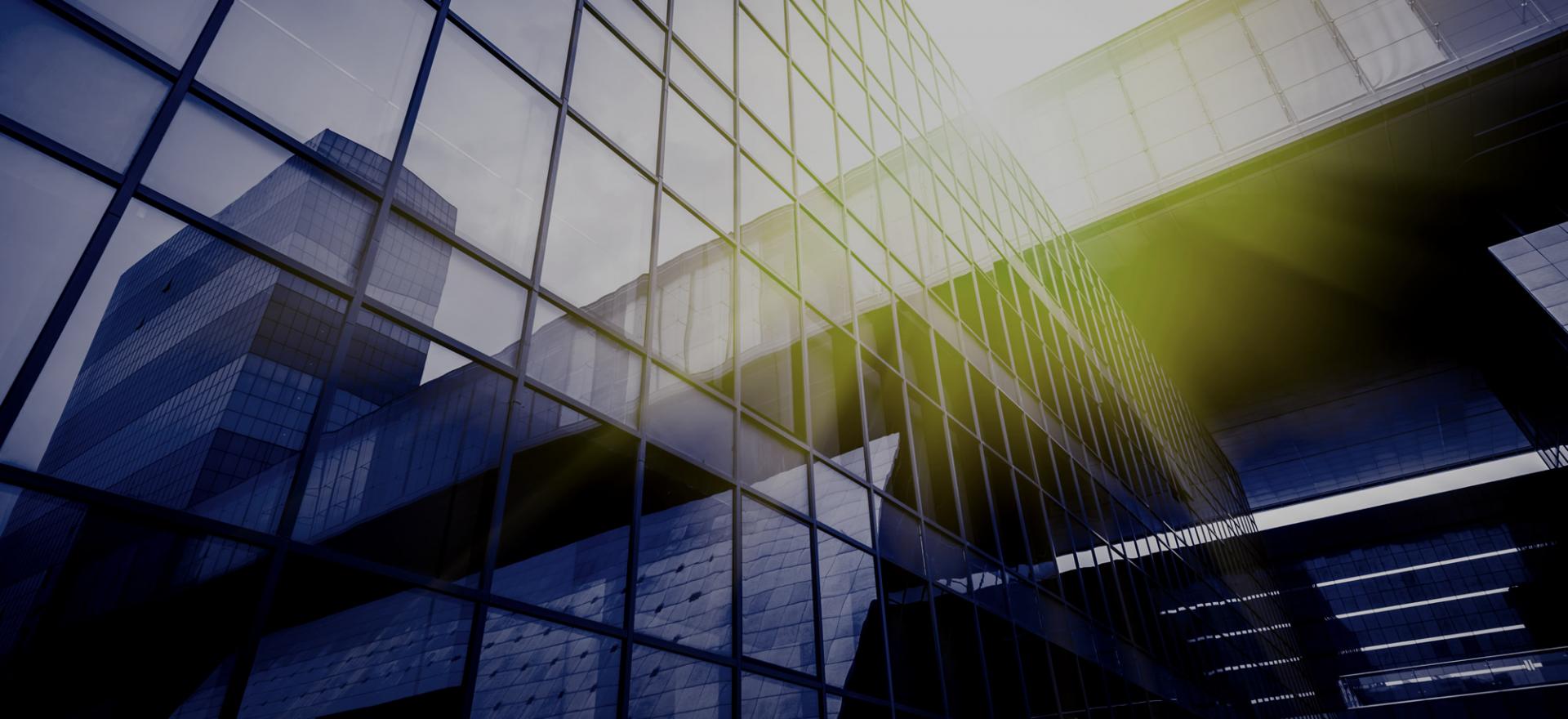 Profesyonel Ekip<br>Güçlü Şirket Yapısı